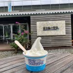 宮古島の雪塩ソフトクリーム。