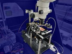 光電変換特性評価プローバーシステム